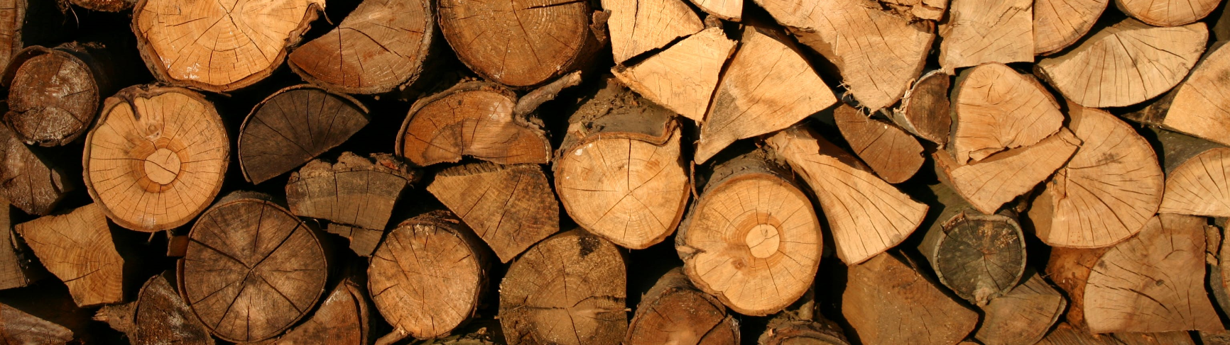 Firewood